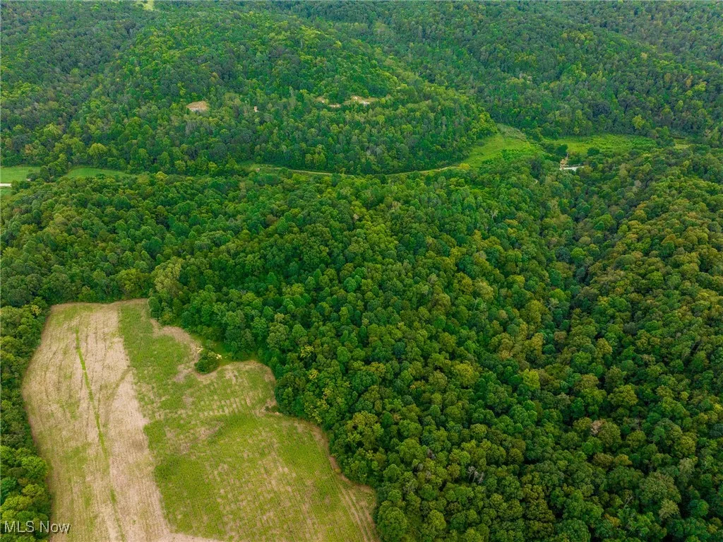 Aerial view of property and surrounding area featuring a forest
