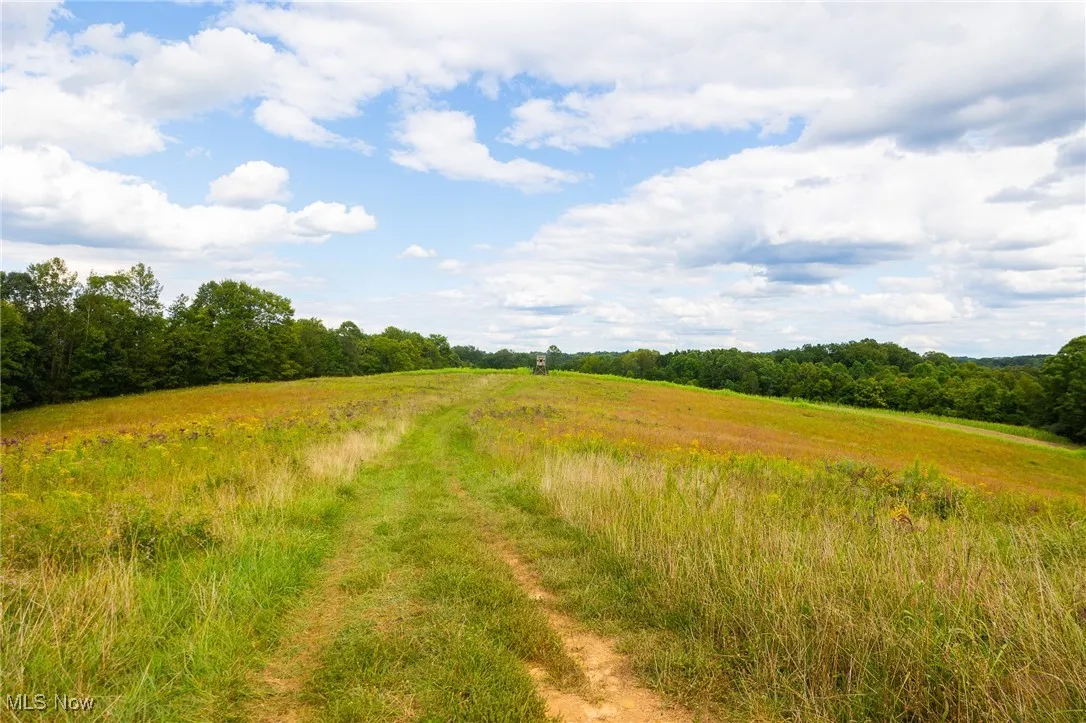 View of wooded area featuring a view of countryside