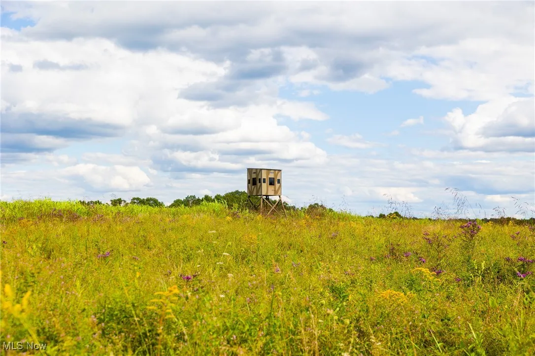 View of undeveloped land