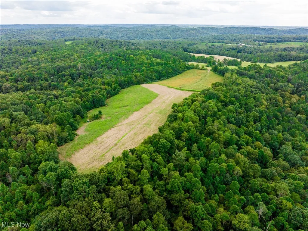 Drone / aerial view of a heavily wooded area