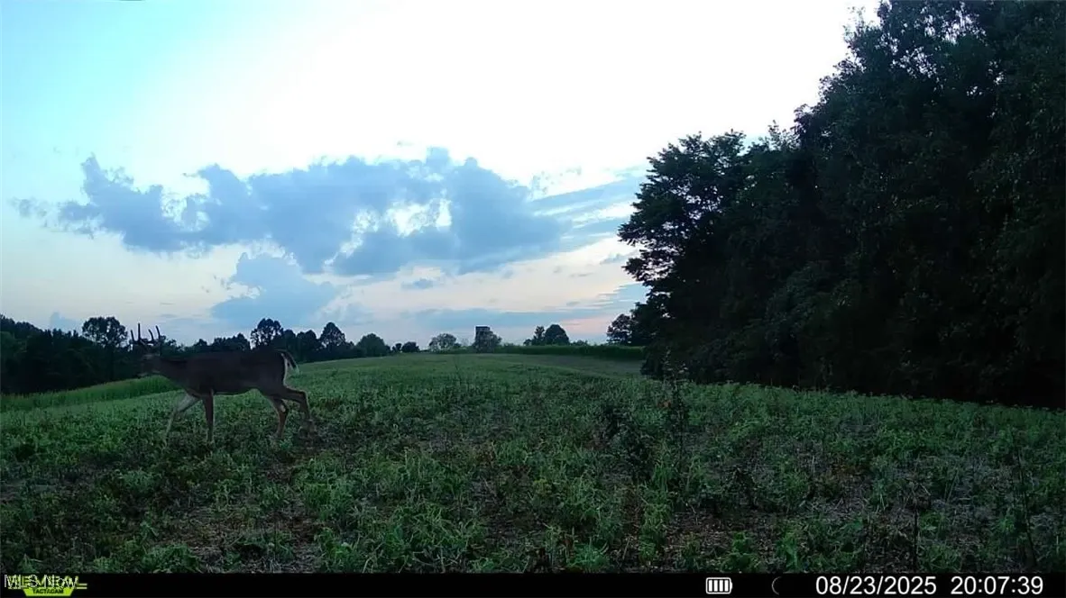 View of nature featuring rural landscape and a pastoral area