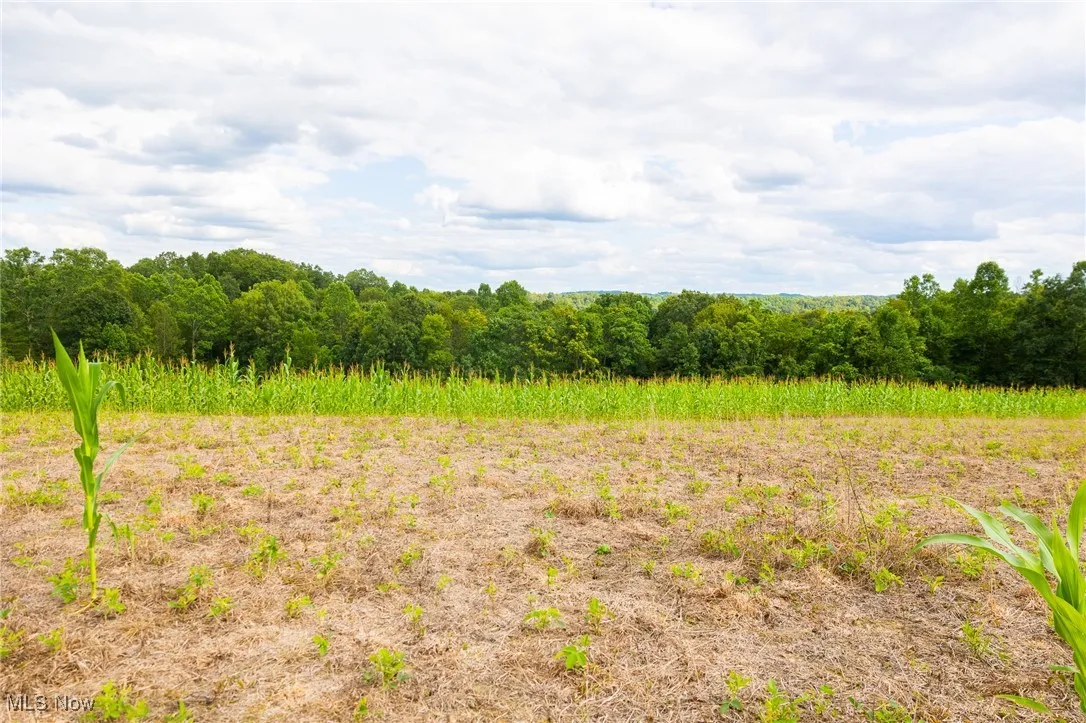 View of wooded area featuring a view of countryside