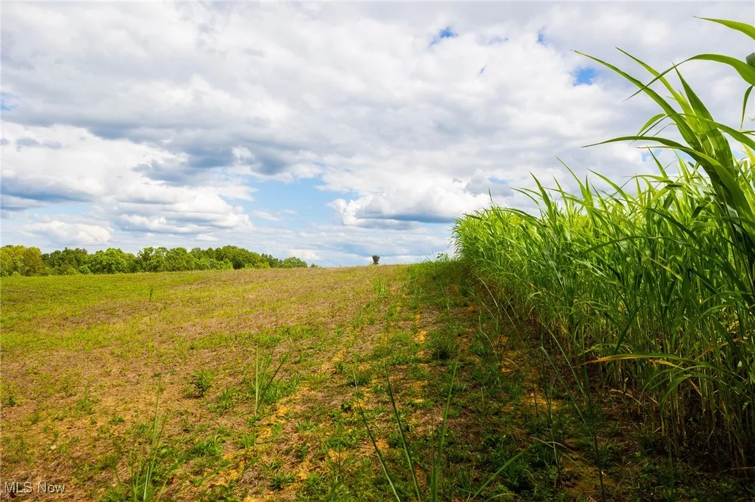 View of local wilderness with rural landscape