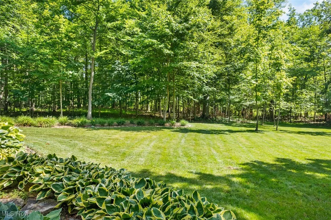 View of green lawn featuring view of scattered trees