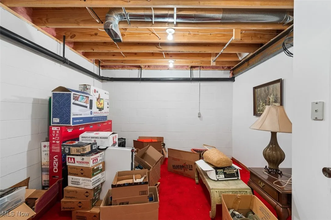 Unfinished basement featuring concrete block wall