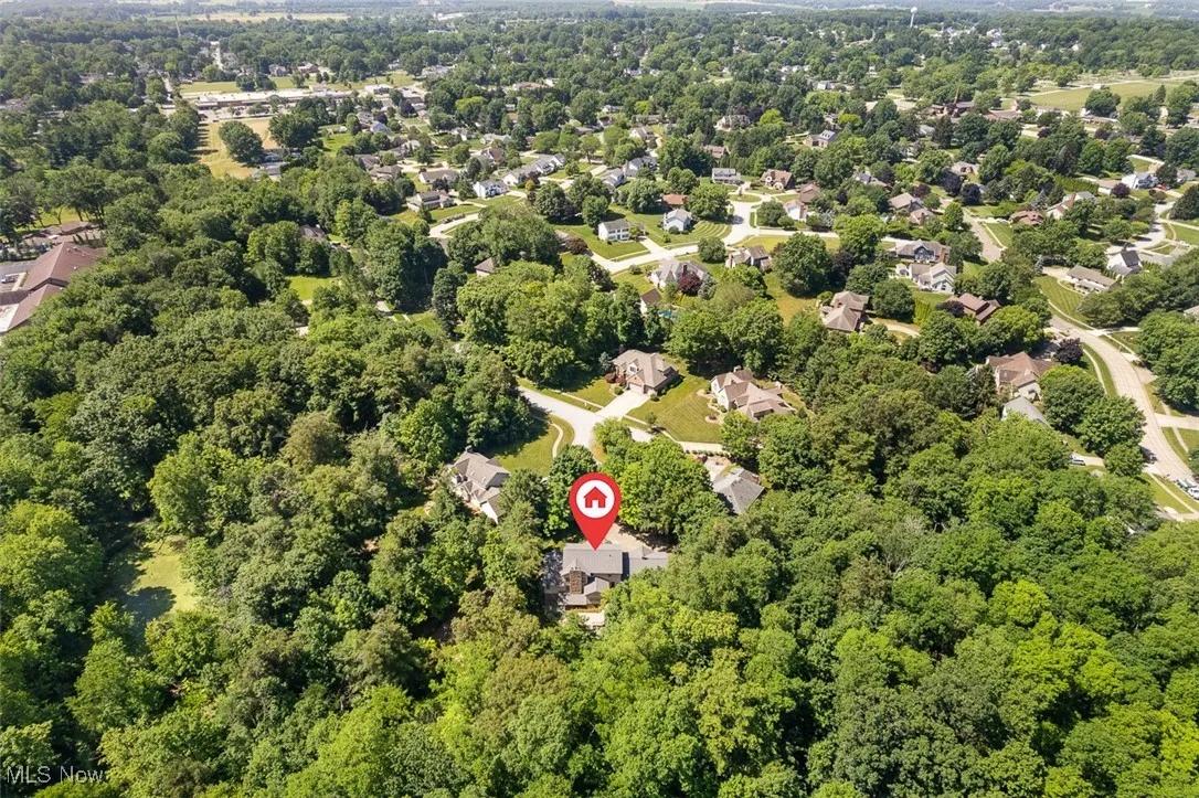 Drone / aerial view of a forest