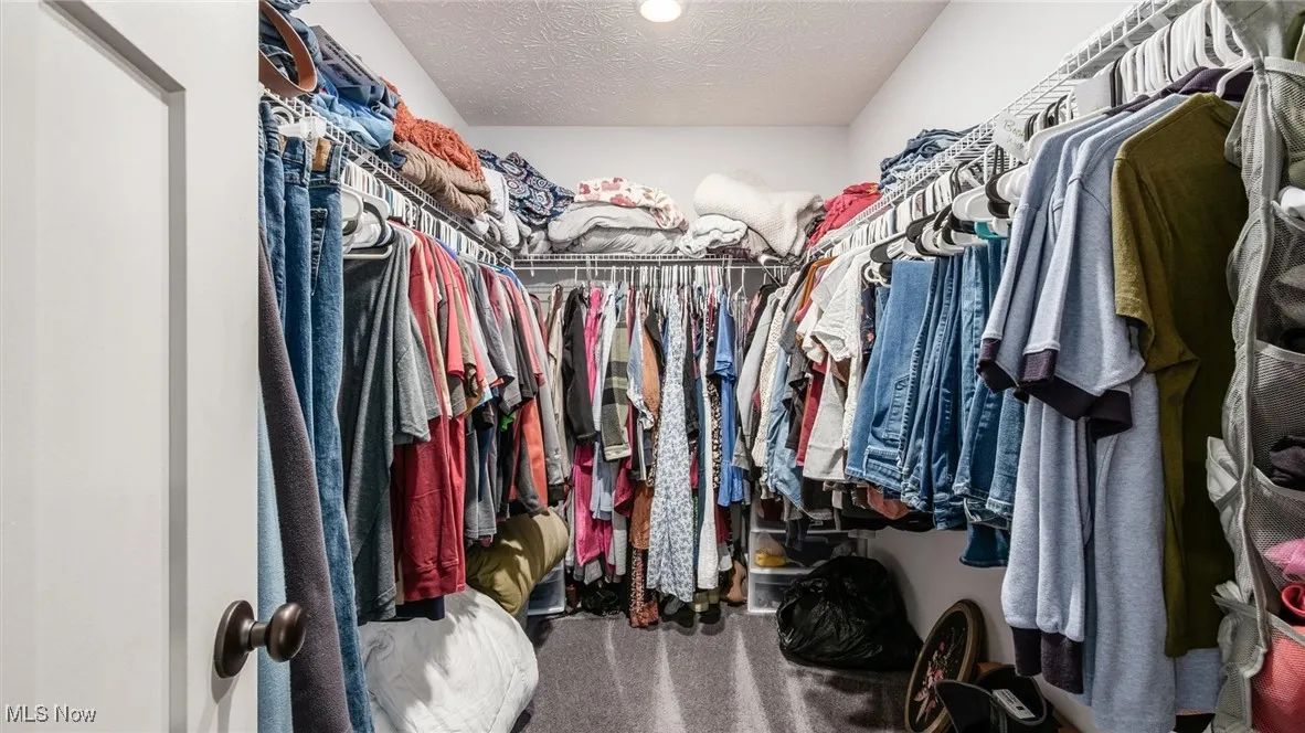 Spacious closet with carpet flooring