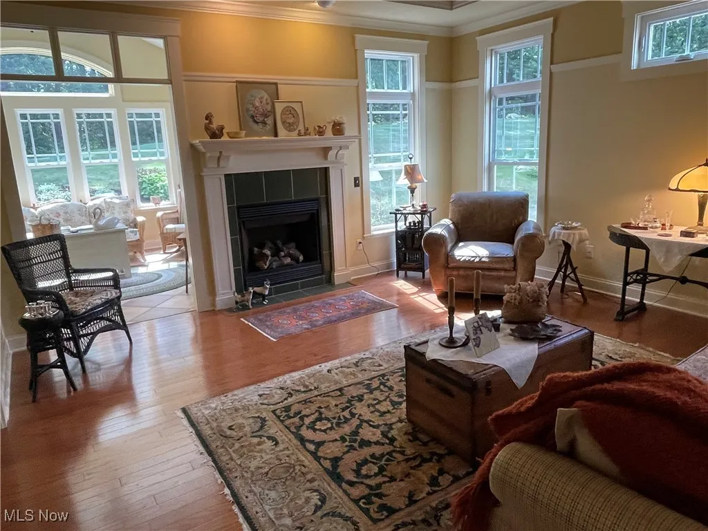 Living area featuring ornamental molding, wood-type flooring, and a fireplace