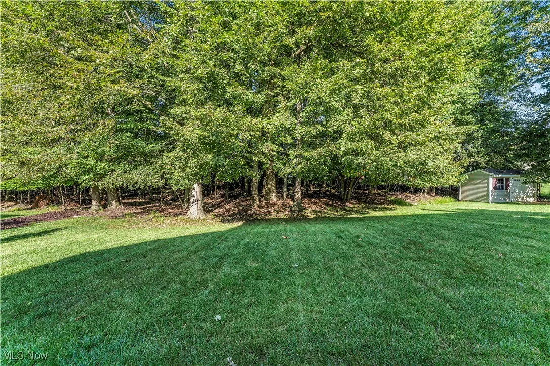 View of grassy yard featuring a storage shed