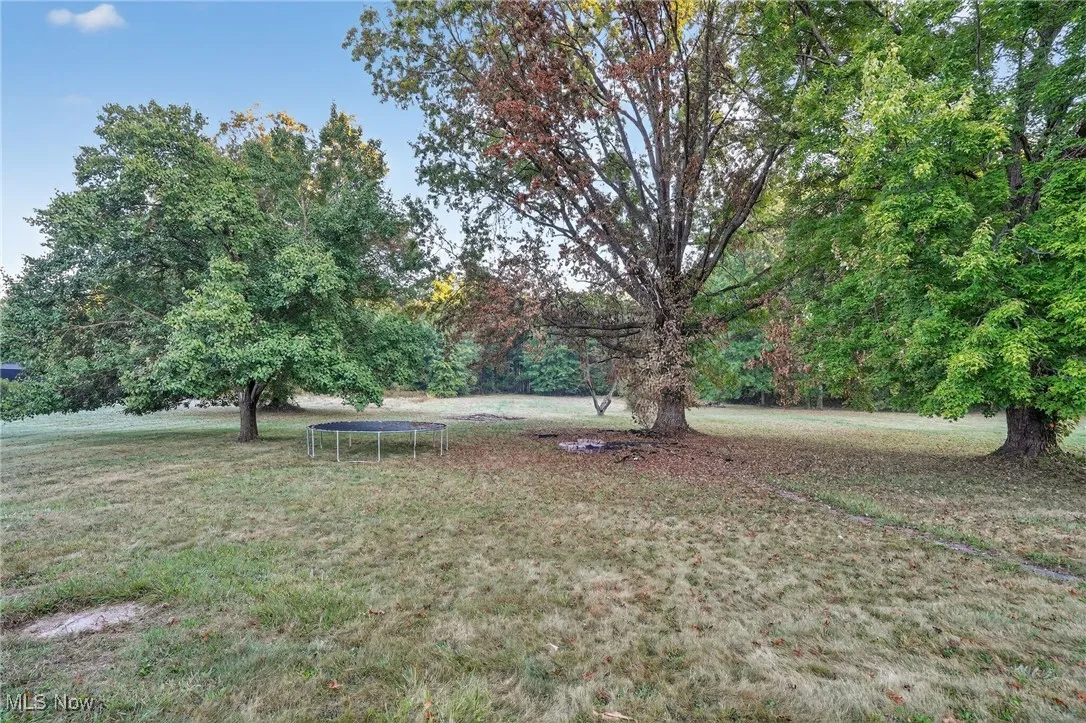 View of green lawn with a trampoline
