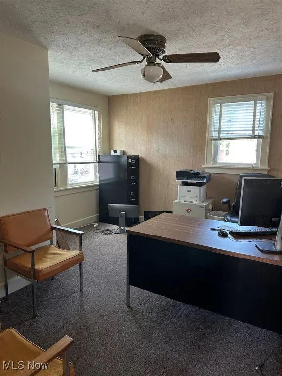 Private office with a textured ceiling, healthy amount of natural light, carpet flooring, and ceiling fan