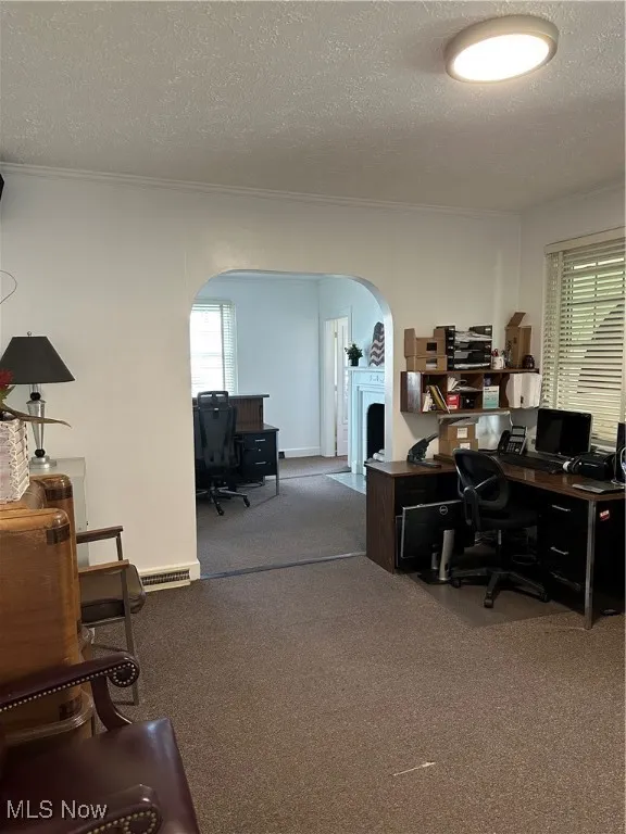 Central Office with arched walkways, carpet, a textured ceiling, healthy amount of natural light, and ornamental molding
