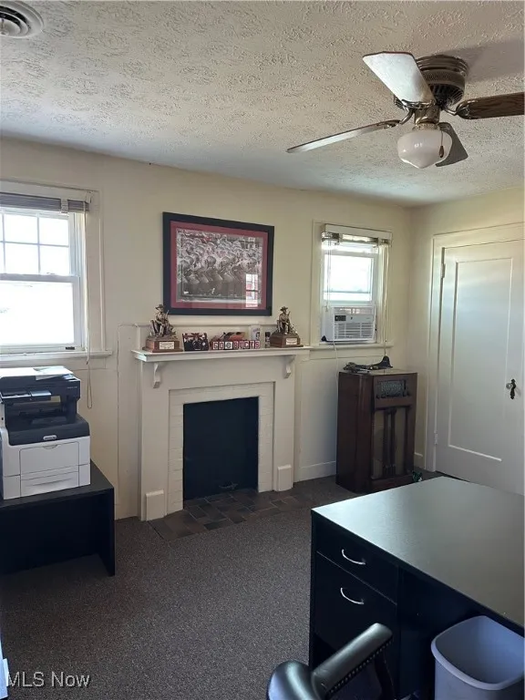 Private Office with carpet and fireplace