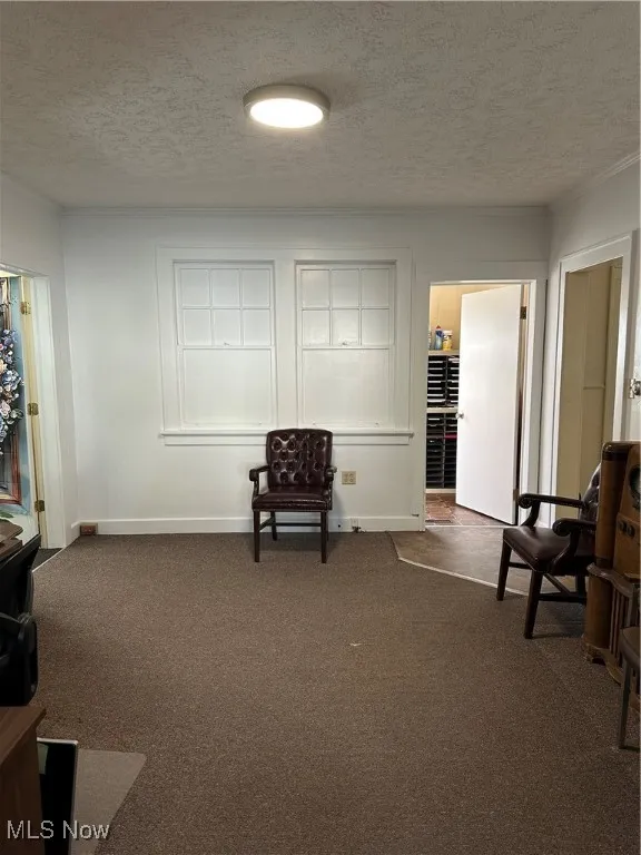 Central area room with dark colored carpet and a textured ceiling