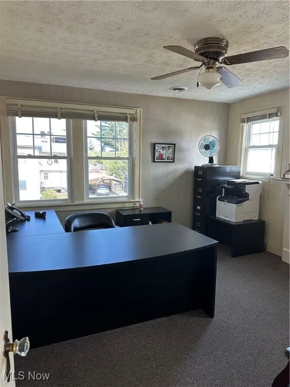 Private Office area with a textured ceiling, a ceiling fan, and carpet