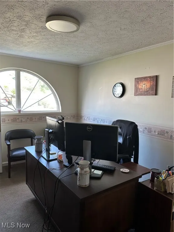Private office with a textured ceiling and ornamental molding