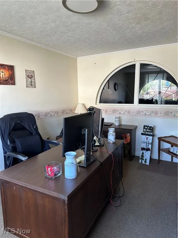 Private Office area featuring dark colored carpet, a textured ceiling, and ornamental molding