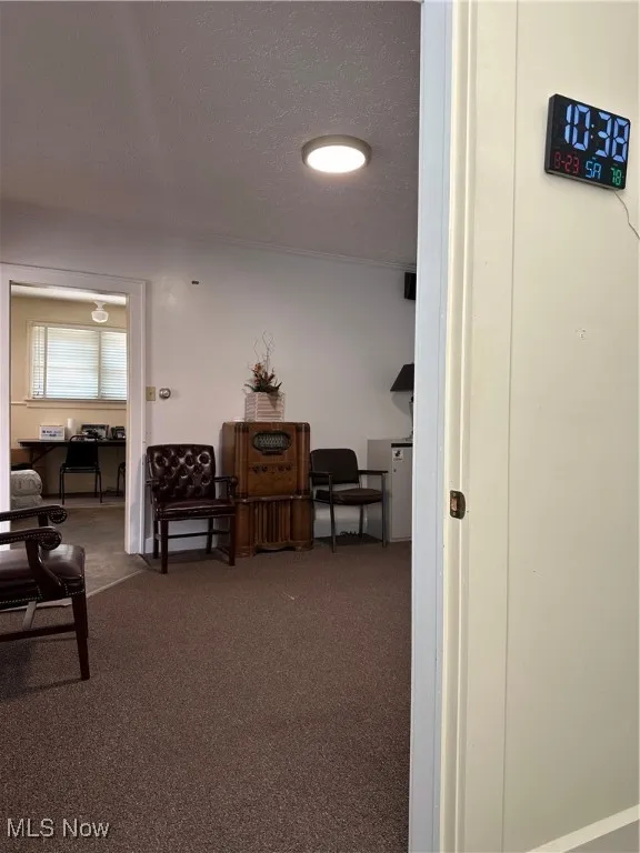 Central area room with a textured ceiling and carpet