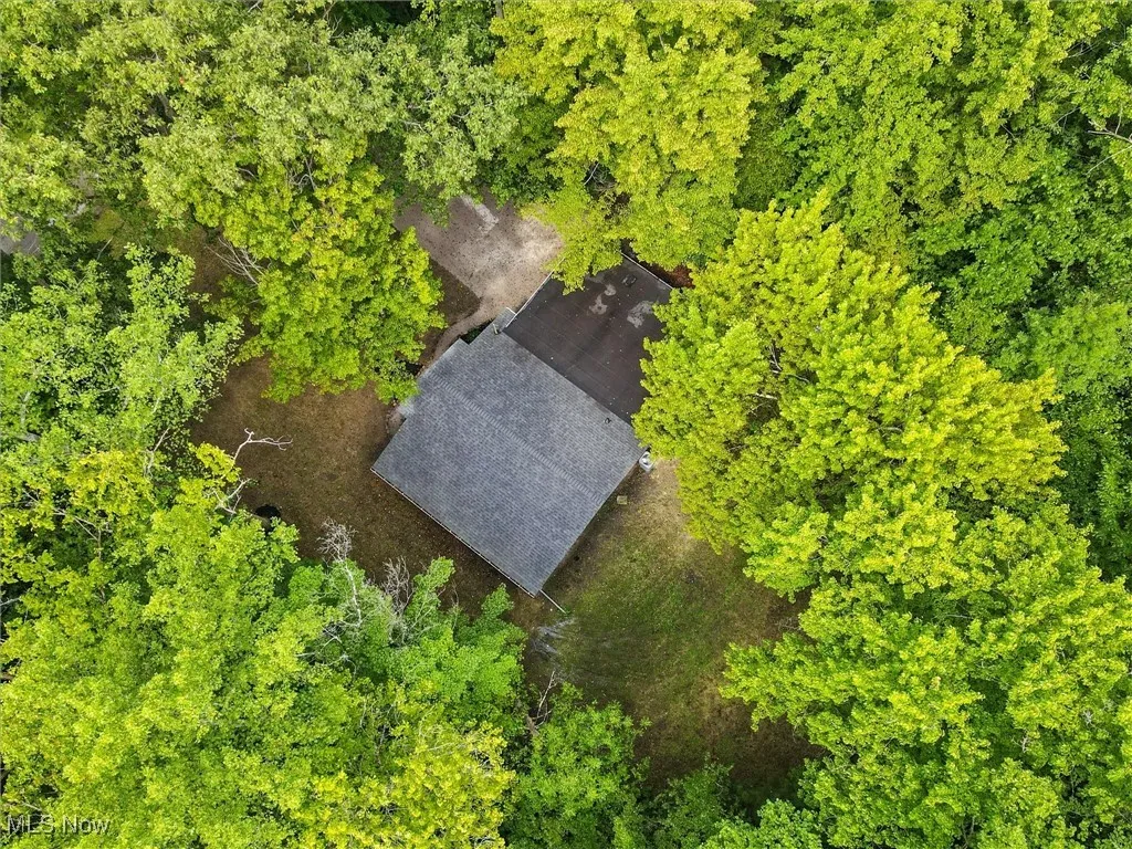 View of subject property featuring a forest