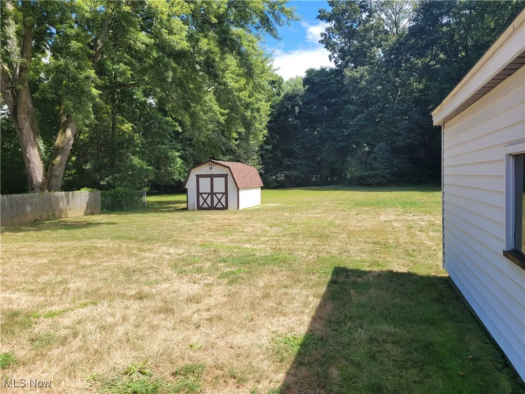 View of green lawn with a shed