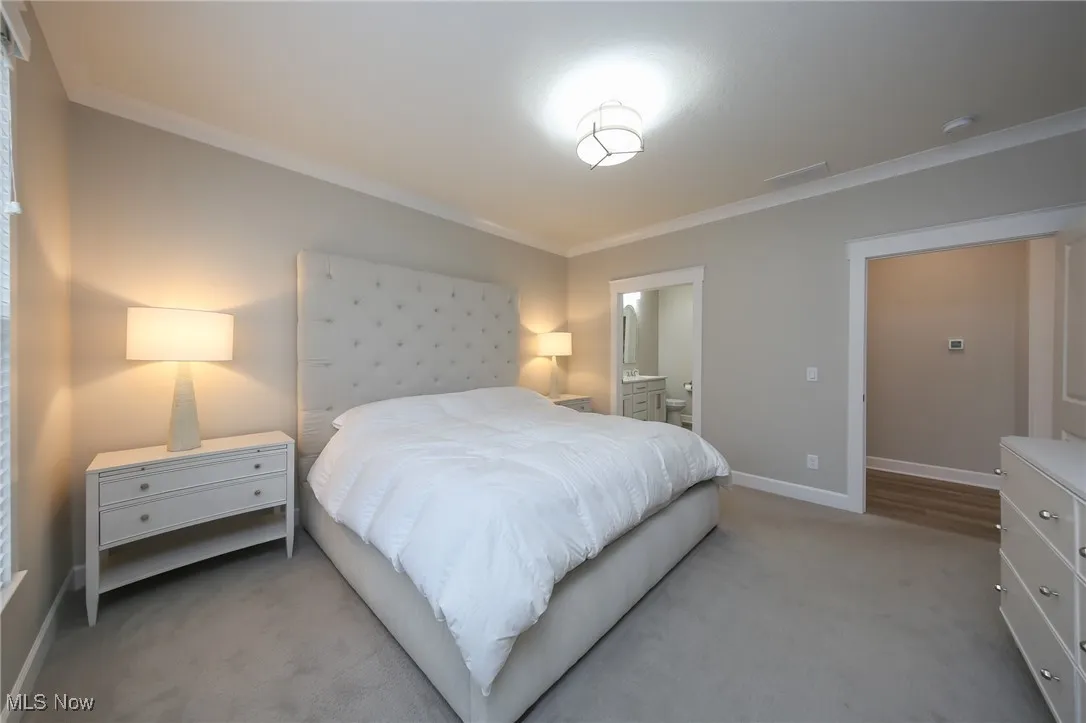 Bedroom featuring crown molding, ensuite bathroom, and carpet flooring