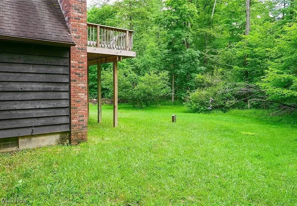A view of the backyard from the side of the house
