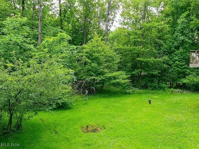 The parklike backyard