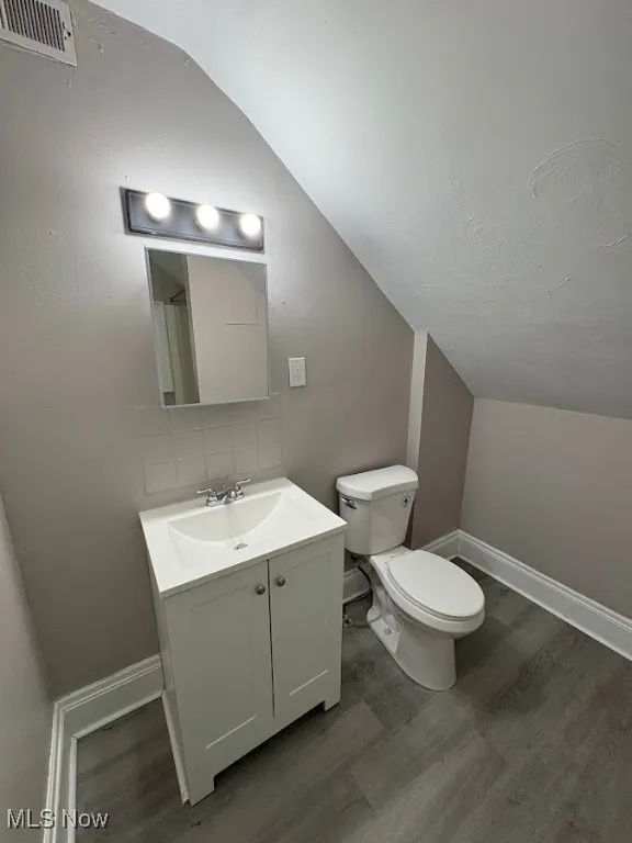 Bathroom with vanity, dark wood-type flooring, vaulted ceiling, and tasteful backsplash