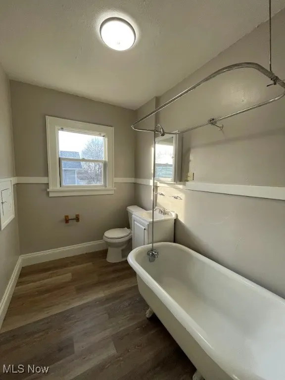 Bathroom with dark wood-type flooring and vanity