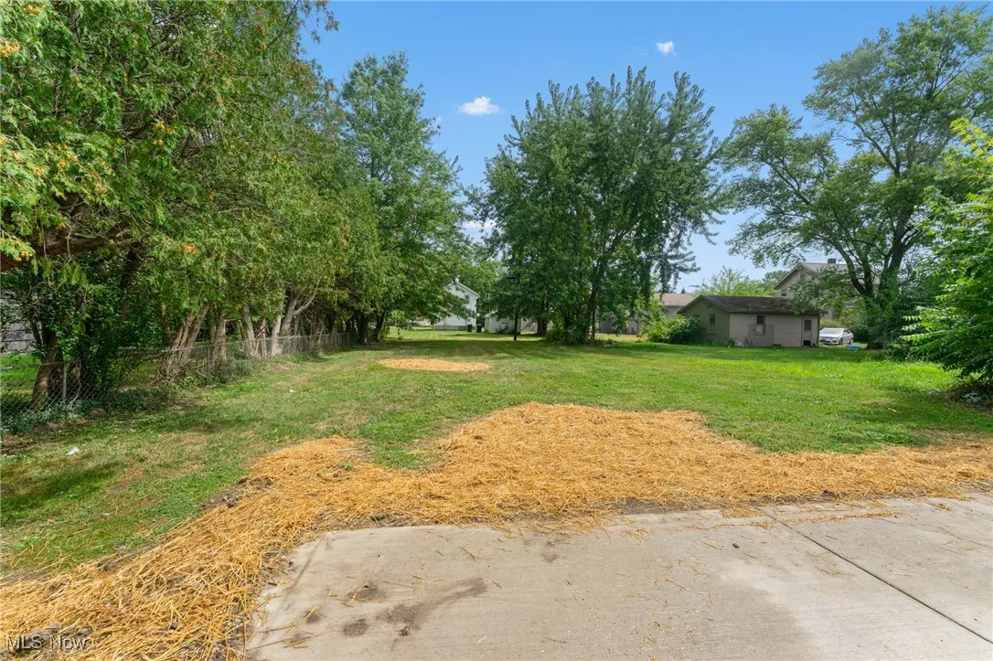 1197 Belvedere Avenue, Warren, Ohio 44484,MLS Now Listing ID