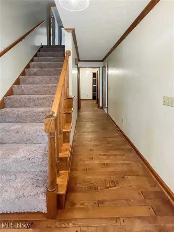 Staircase with ornamental molding, wood finished floors