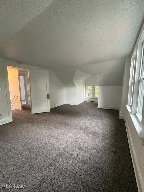 Bonus room featuring vaulted ceiling, carpet, and a textured ceiling