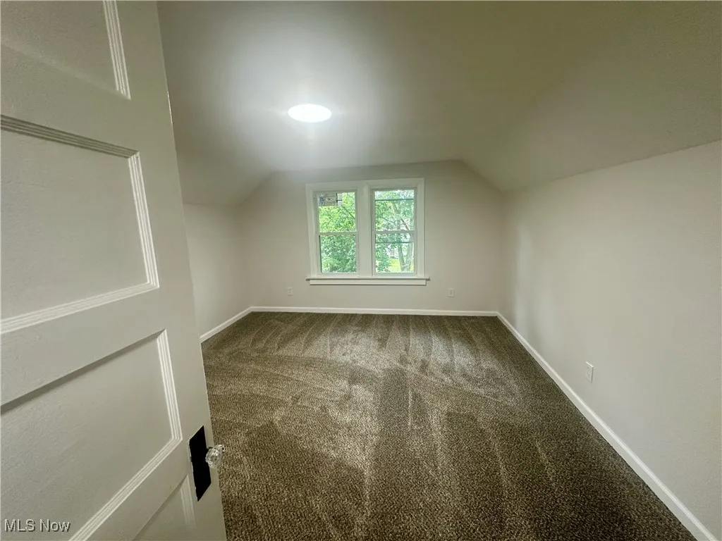 Bonus room with carpet and vaulted ceiling