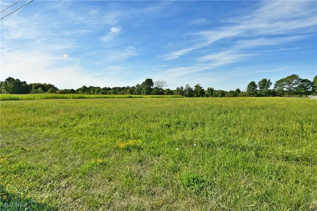 View of local wilderness featuring rural landscape