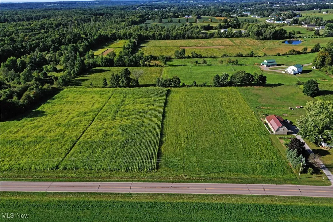 Overview of rural landscape with rows of crops
