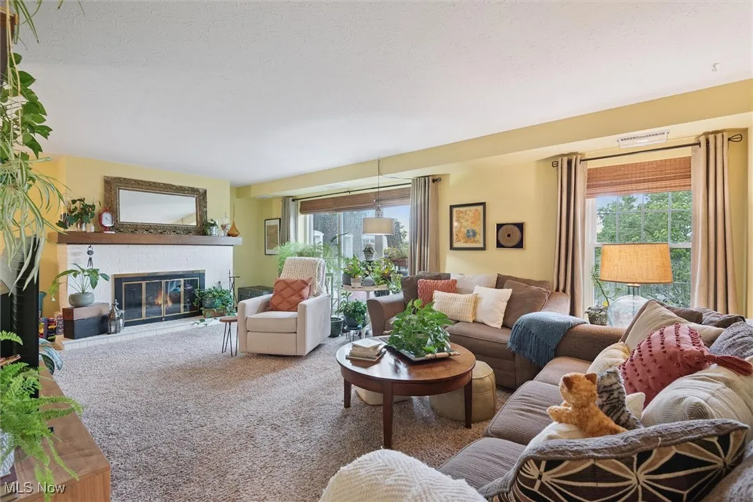 Living area featuring a fireplace, healthy amount of natural light, and carpet flooring