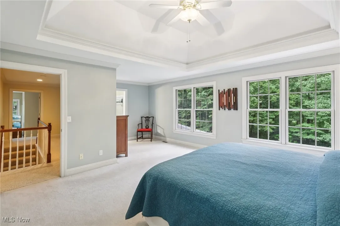 17245 Curry Lane, Chagrin Falls, Ohio 44023,MLS Now Listing ID