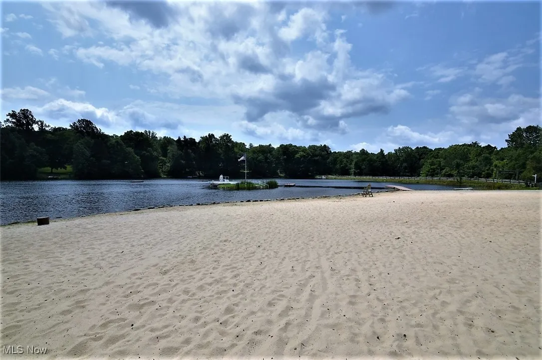 Water view featuring a forest
