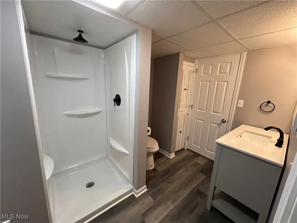 Bathroom with dark wood-style floors, a paneled ceiling, vanity, and a shower stall
