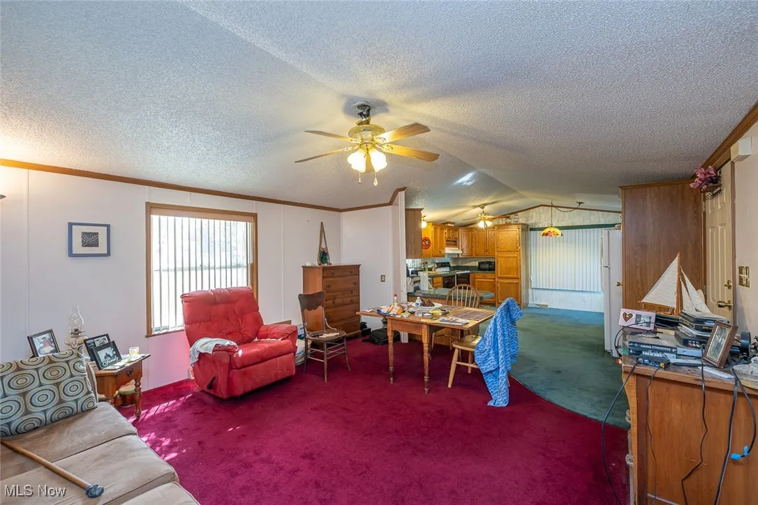 55 Patio Lane, Olmsted Twp, Ohio 44138,MLS Now Listing ID
