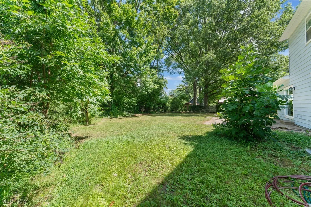 View of grassy yard