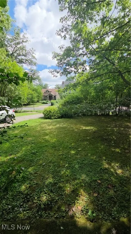 View of green lawn