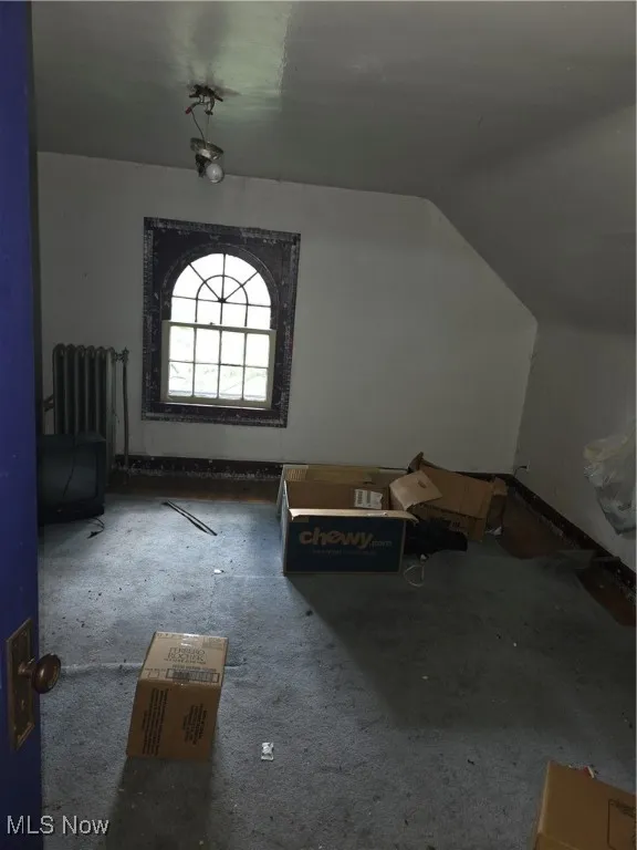 Bonus room with vaulted ceiling