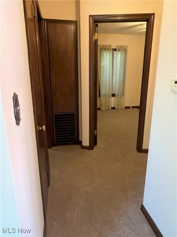 Hall with light carpet and baseboards