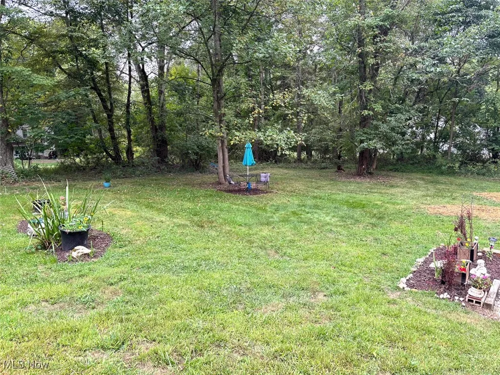 View of green lawn