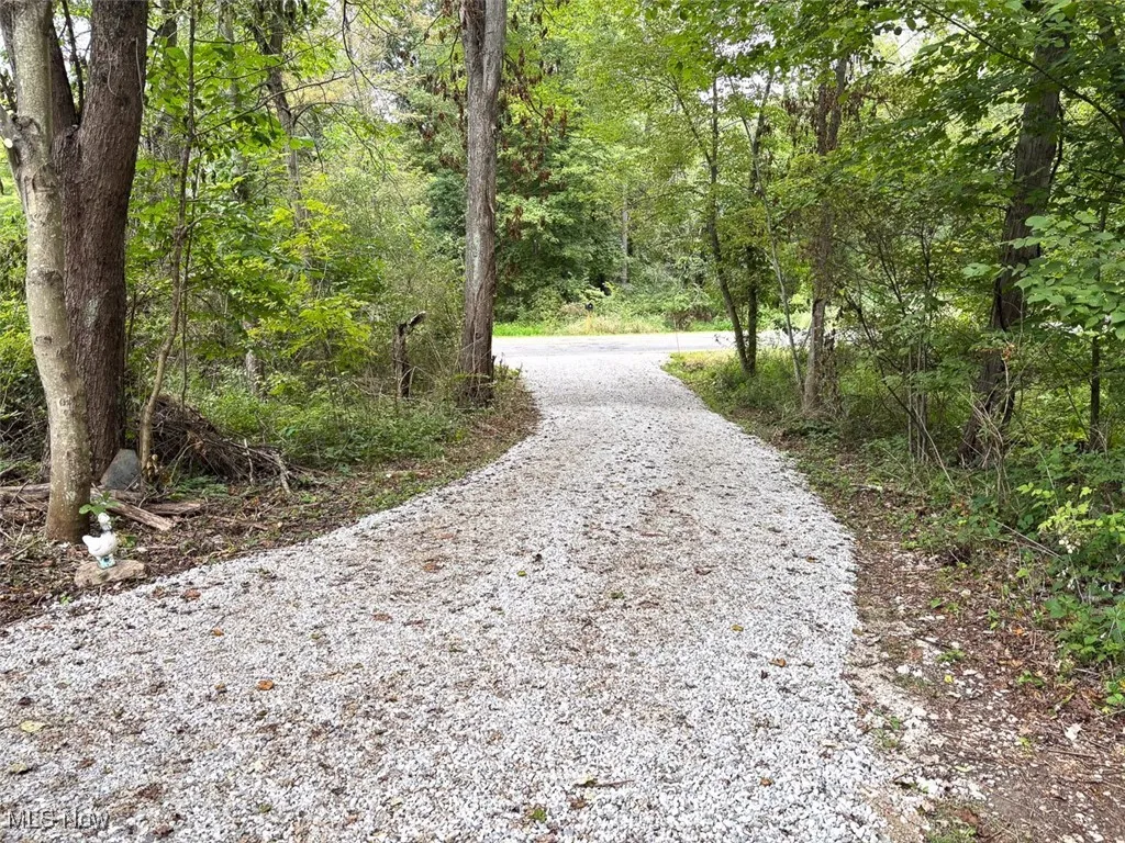 View of dirt / gravel road featuring a view of trees
