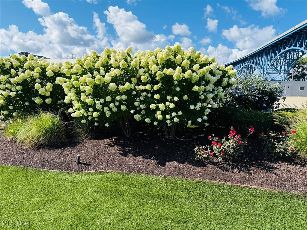 View of grassy yard