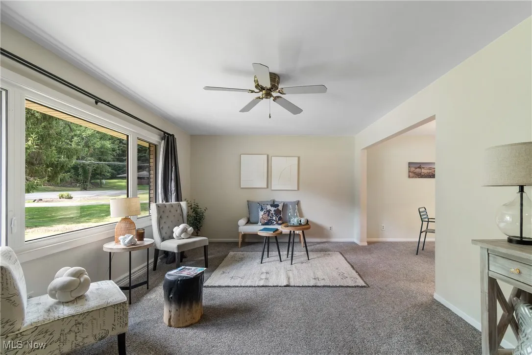 Living area featuring carpet flooring and a ceiling fan