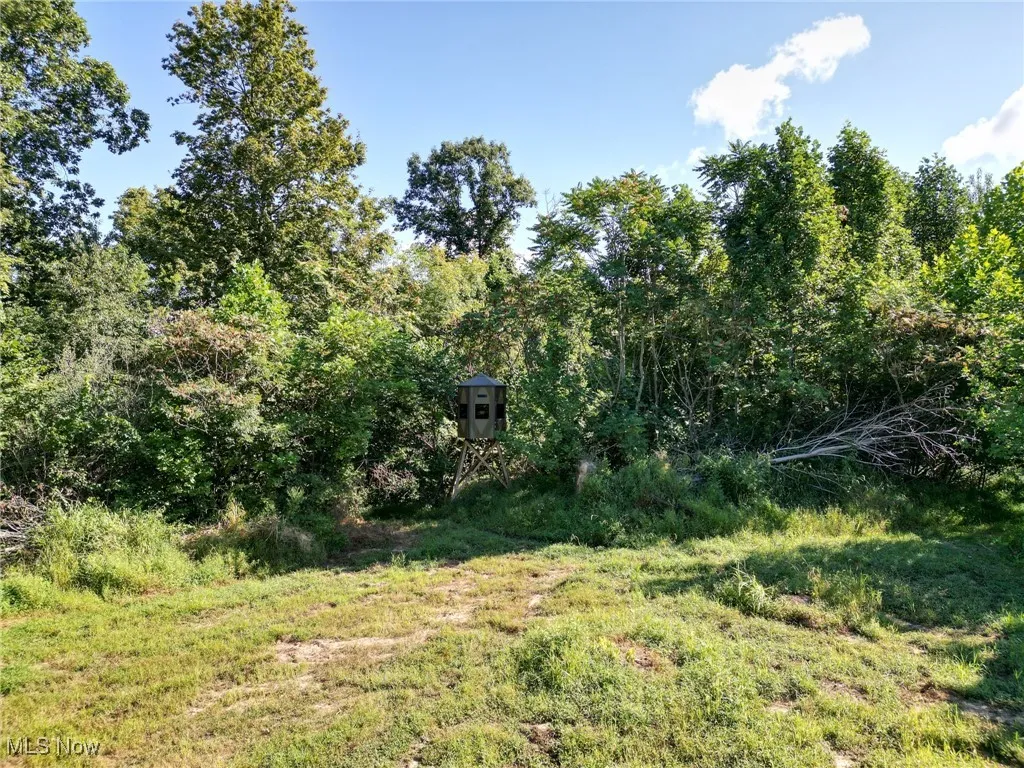 Greenlawn Road, Quaker City, Ohio 43773,MLS Now Listing ID