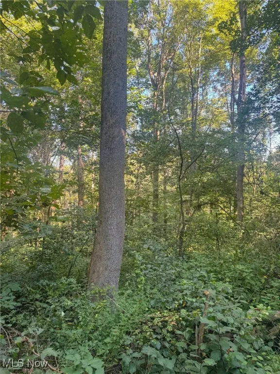 Greenlawn Road, Quaker City, Ohio 43773,MLS Now Listing ID